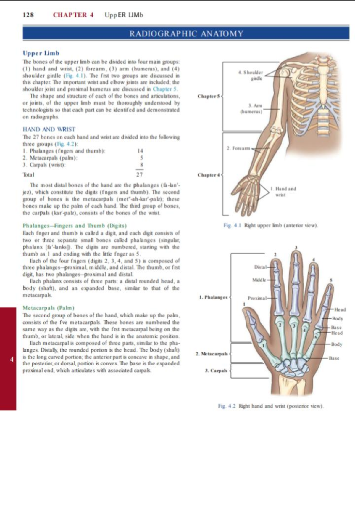 Upper Limb Radiographic Projections: Techniques & Clinical Indications ...
