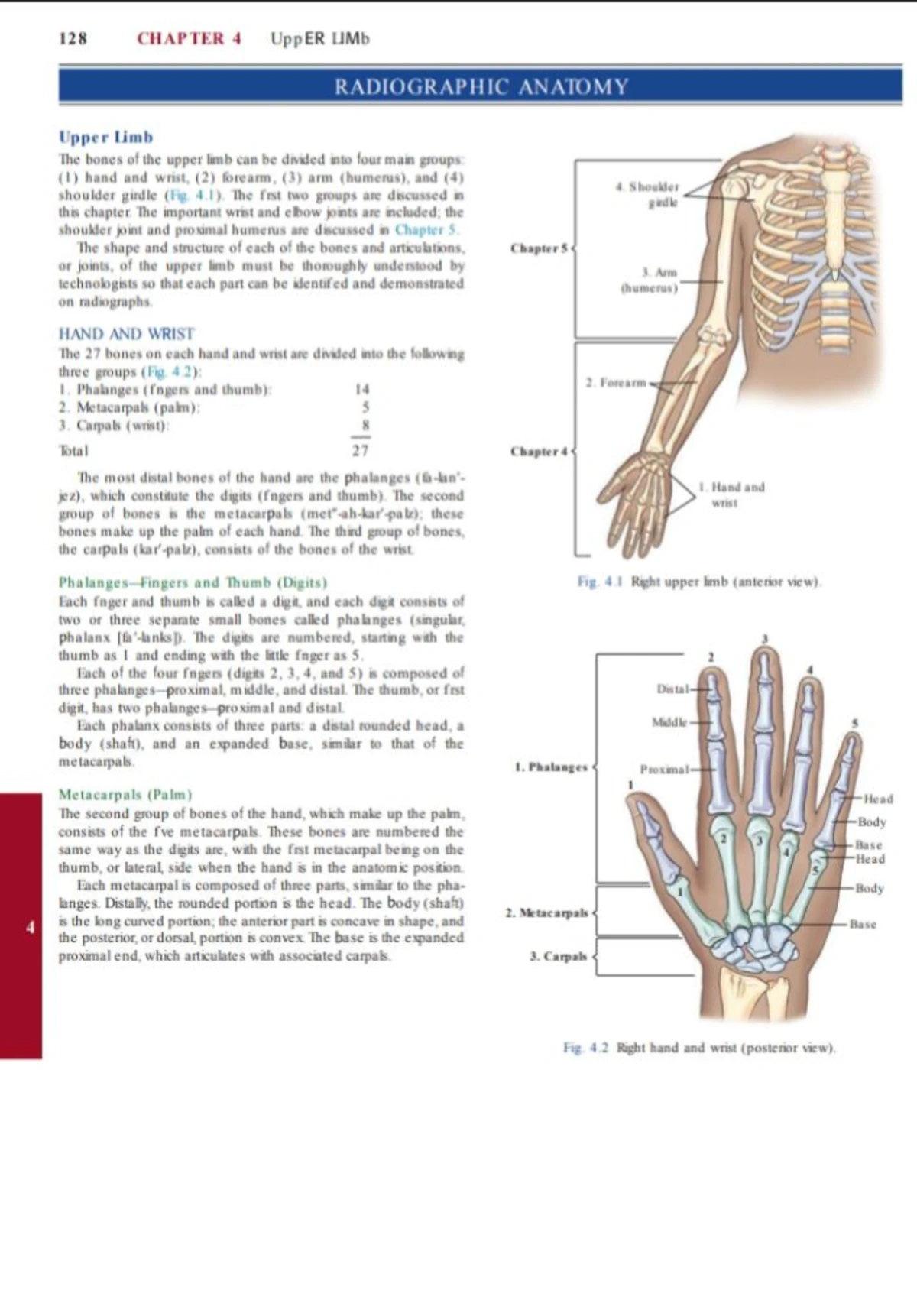 Radiographic Anatomy of the Humerus & Shoulder Girdle (Chapter 5) - Studocu
