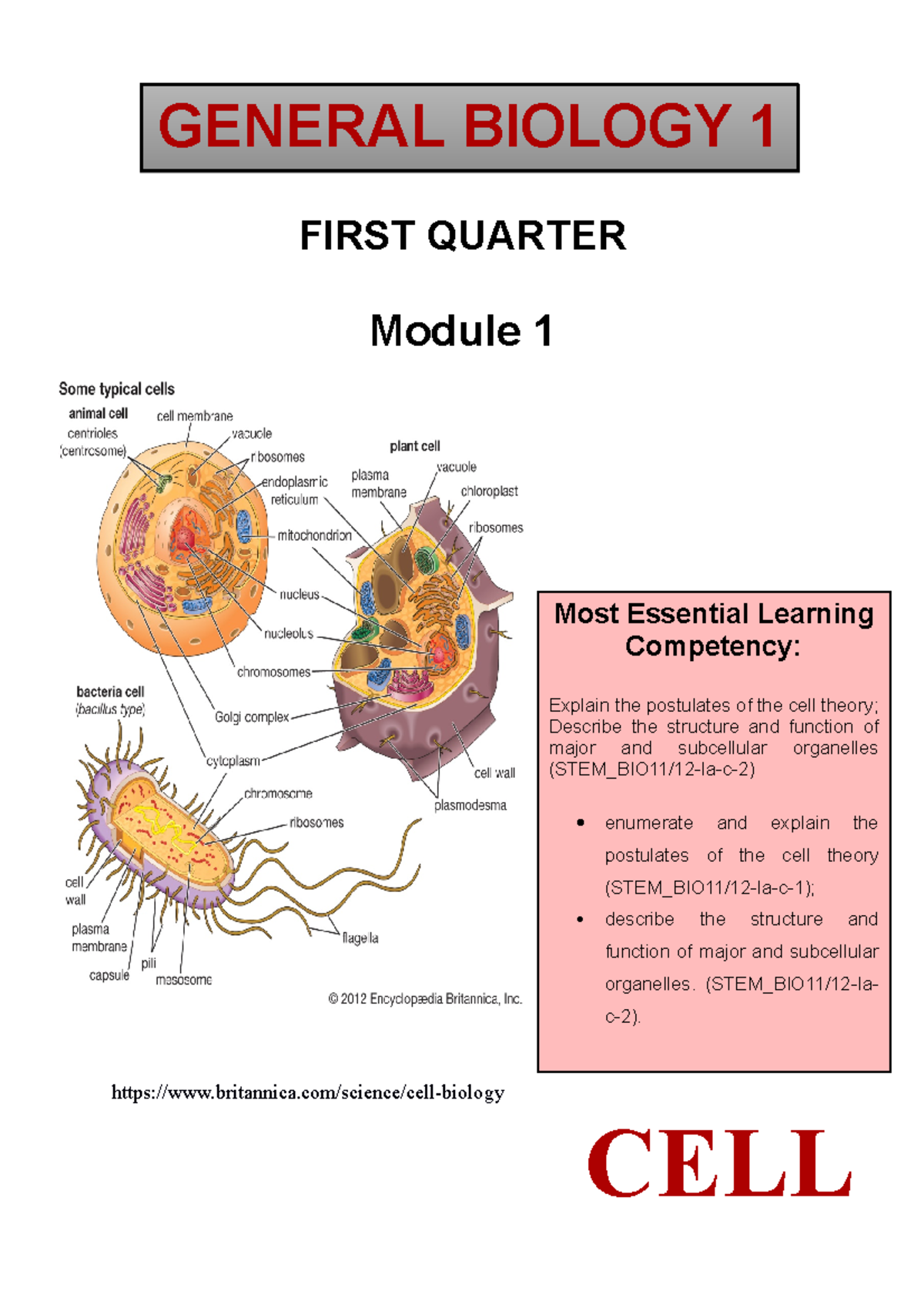 STEM_BIO11/12 - Week 1 Lecture Notes on Cell Structure & Function - Studocu