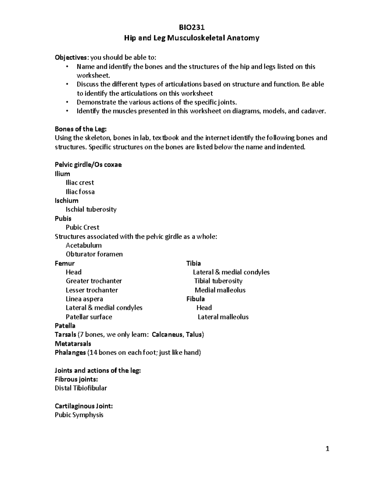 Hip and Leg Anatomy Worksheet for Musculoskeletal Study - Studocu