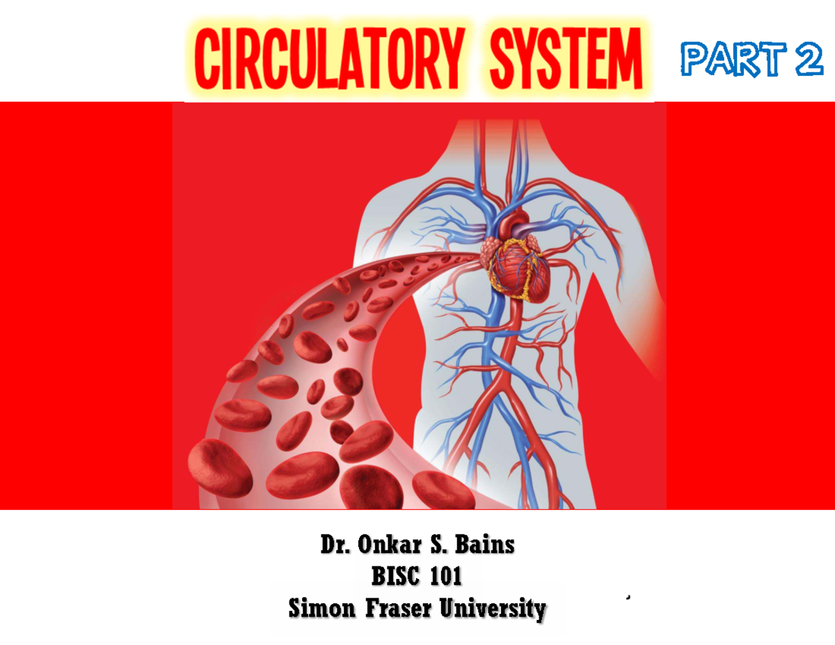 BISC 101 - Circulatory System - Part 2 - Student COPY - Spring 2025 ...