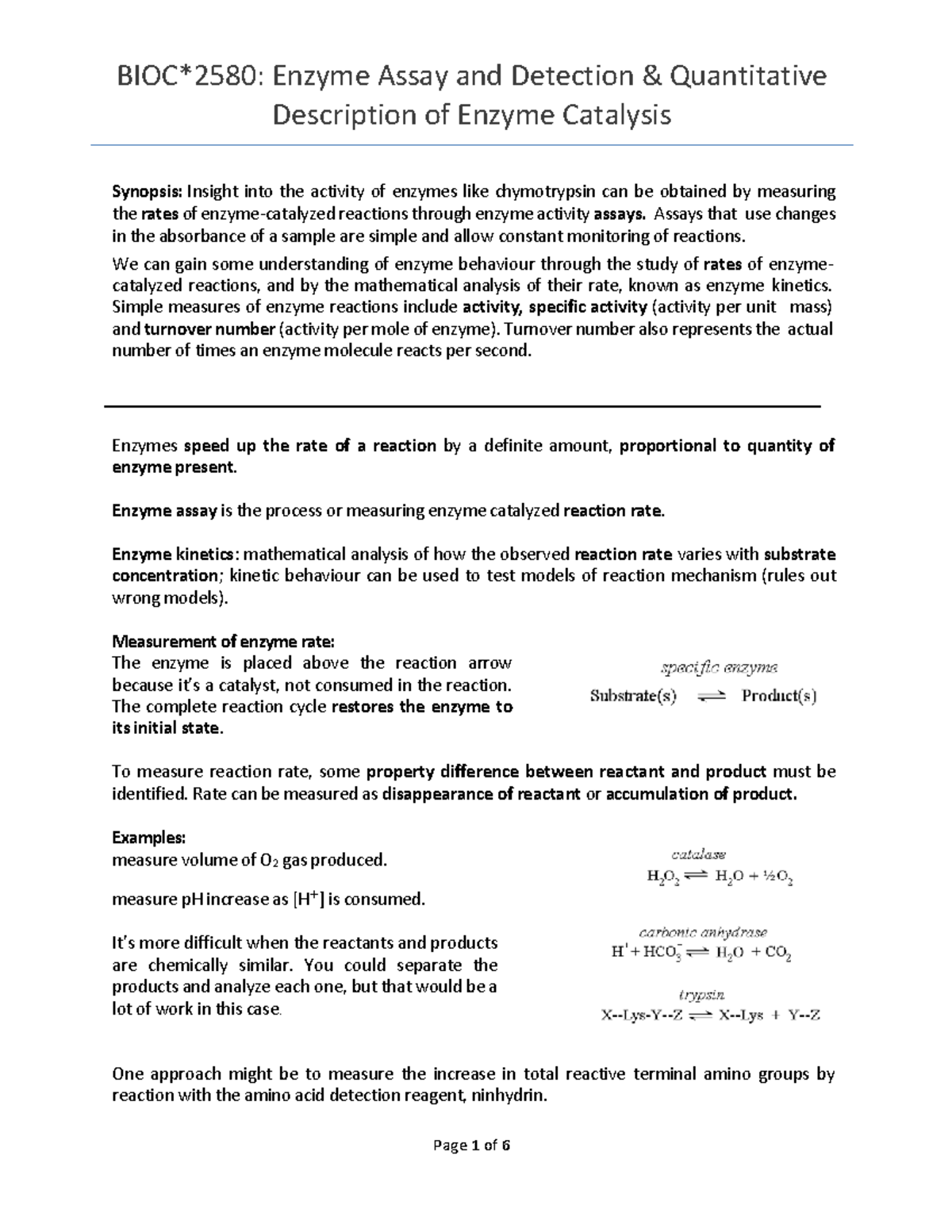 Enzyme Assay & Detection: Quantitative Analysis of Catalysis (BIO 101 ...
