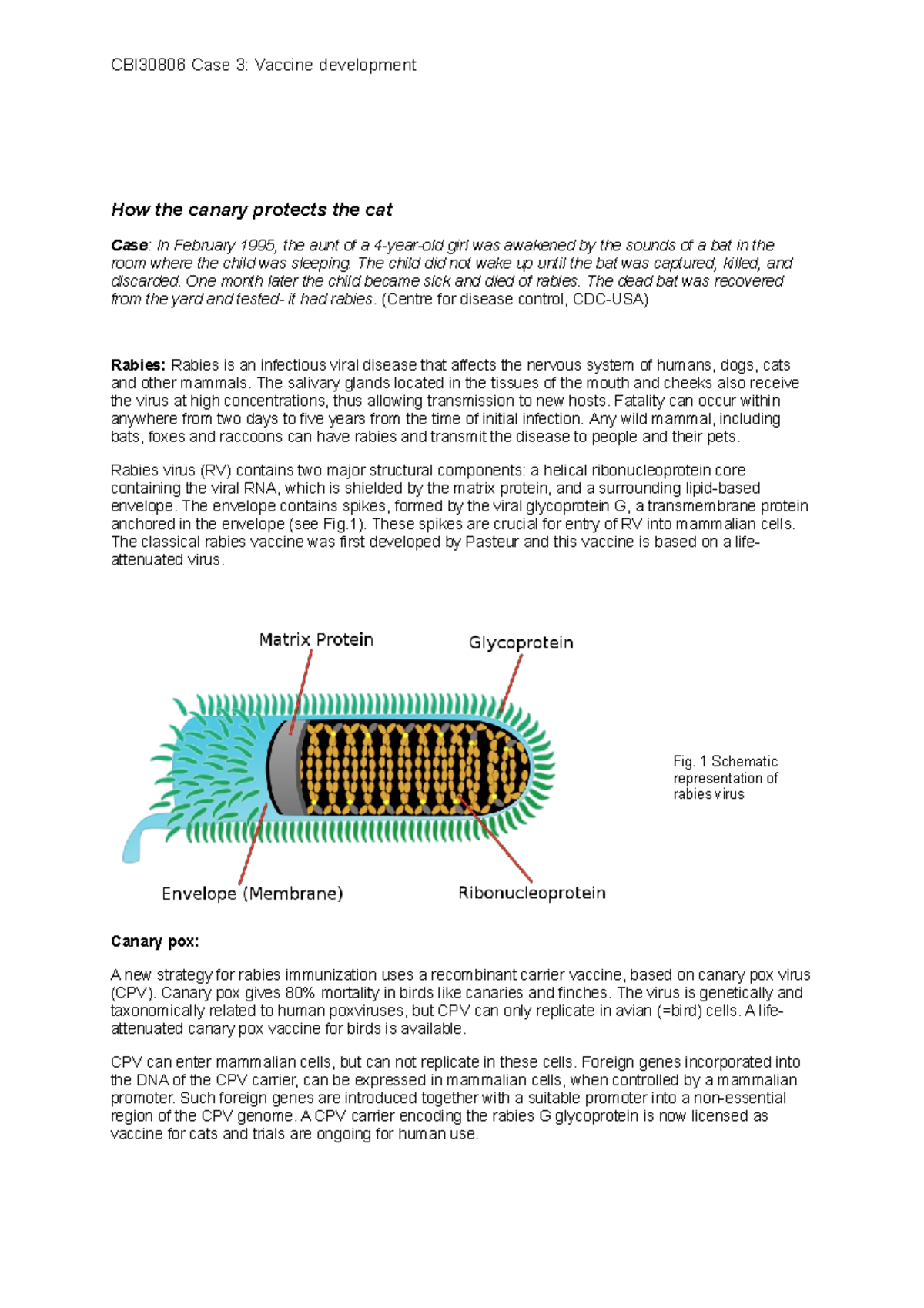 Case Study: Rabies Vaccine Development and Immunization Strategies ...