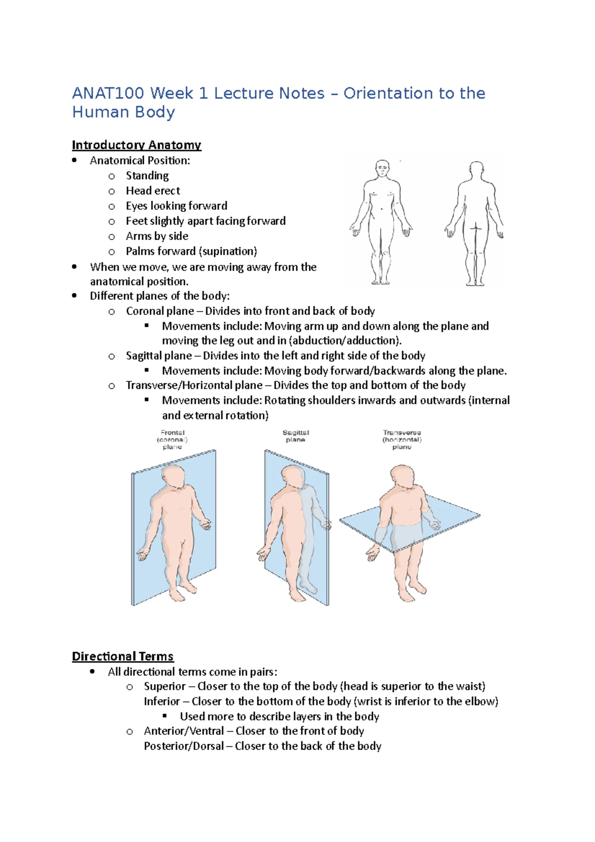 Nerve Supply Anatomy of Lower Limb: Detailed Notes - Studocu