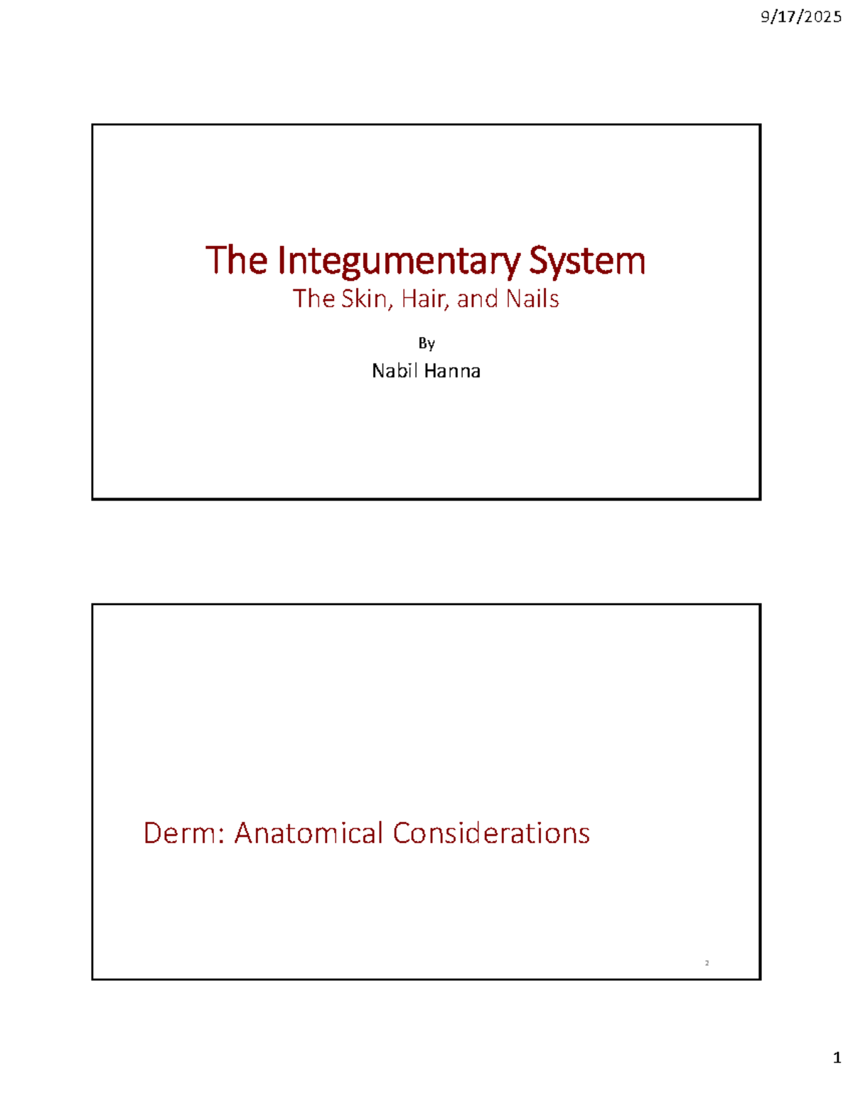 Derm: Integumentary System Overview - Skin, Hair, and Nails Lecture ...