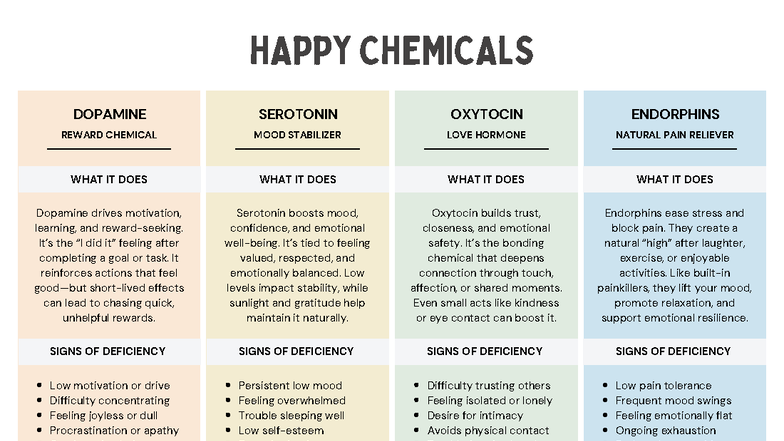 Happy Chemicals: Dopamine, Serotonin, Oxytocin & Endorphins Guide - Studocu