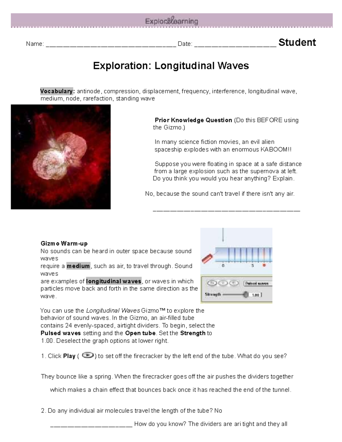 Longitudinal Waves Student Exploration (SE) - Key Concepts & Activities ...