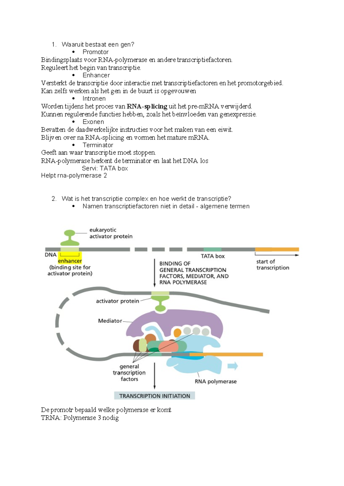 Taak 4 Blok 2 - Nabespreking: Genexpressie en Transcriptie Processen ...