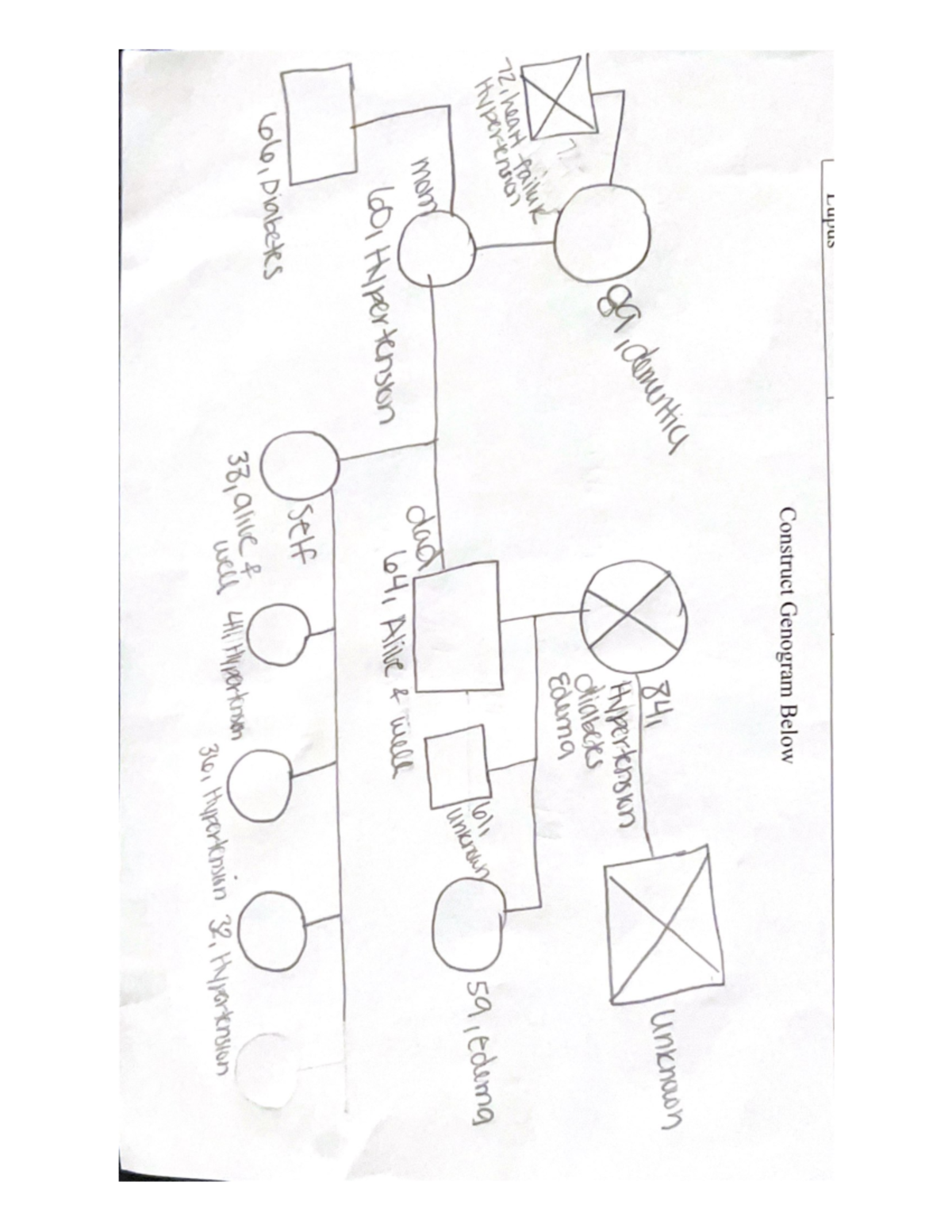 Genogram: Understanding Family Dynamics and Relationships - Studocu