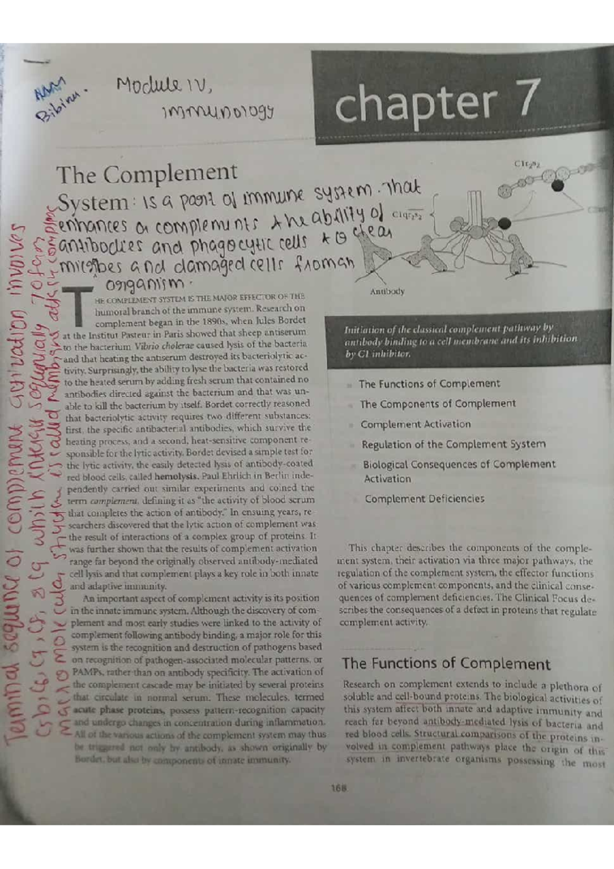 Complement System Overview: Immunology Chapter 7 (MM Module IV) - Studocu