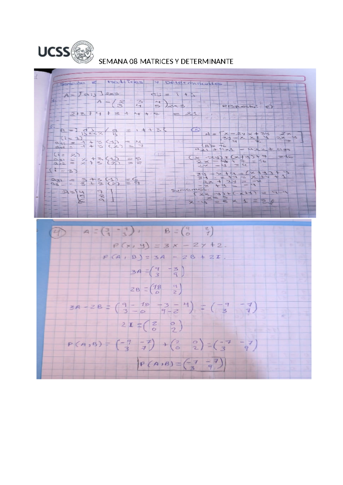 UCSS 08 Matrices y Determinantes - Resumen y Ejercicios - Studocu
