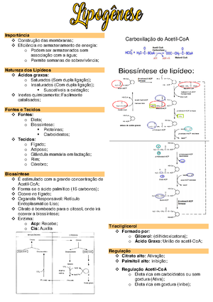 [Solved] REAO DE BIURETO 1 Descreva os procedimentos realizado durante ...