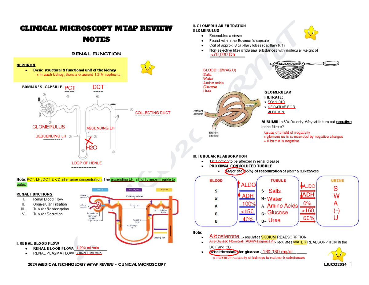 CM 2024 MTAP Review Notes: Kidney Structure & Function Insights - Studocu