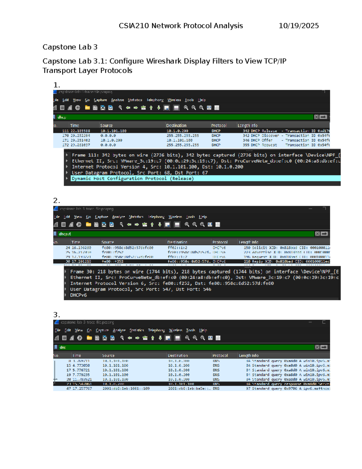 CSIA210 Final Capstone Lab 3 & 4: Wireshark Protocol Filters Analysis ...