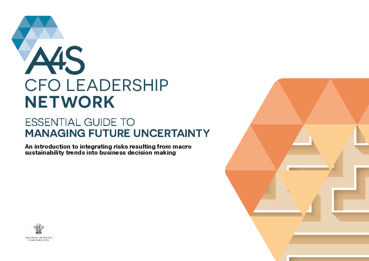 A4S Essential Guide: Integrating Macro Sustainability Risks into ...