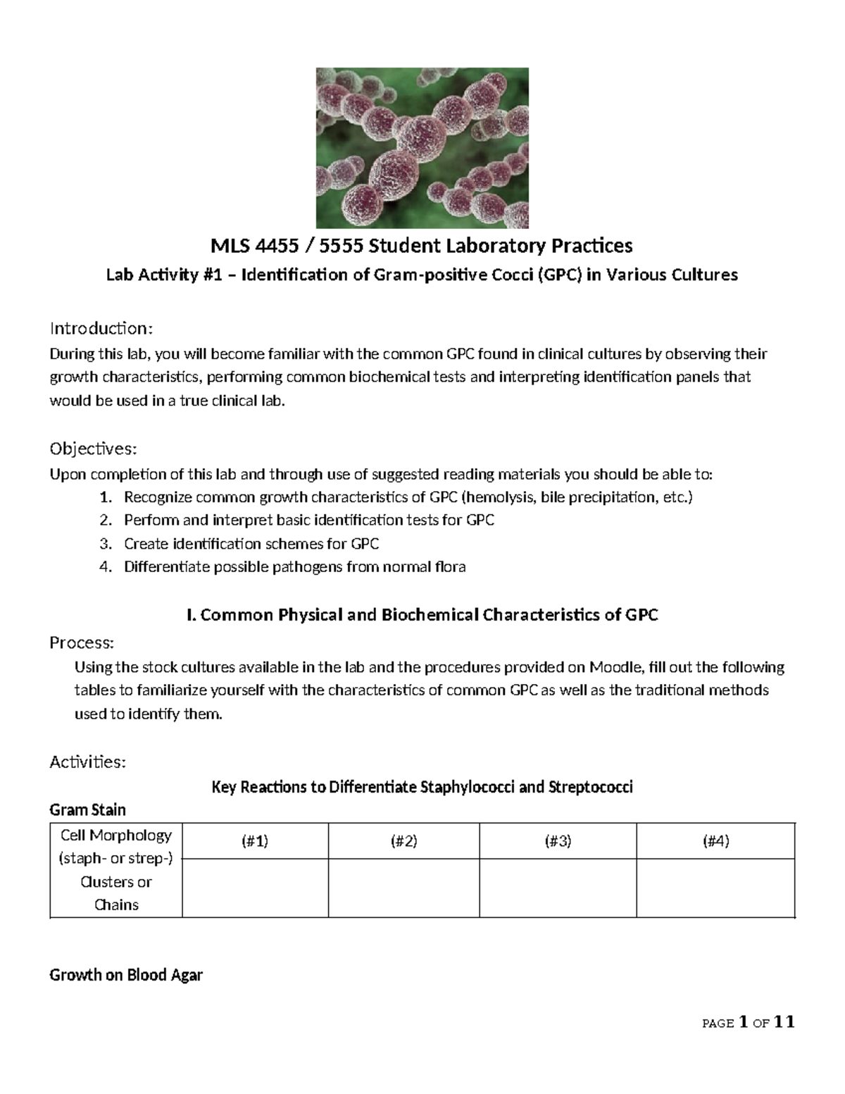 GPC Lab Activity #1 - notes - MLS 4455 / 5555 Student Laboratory ...