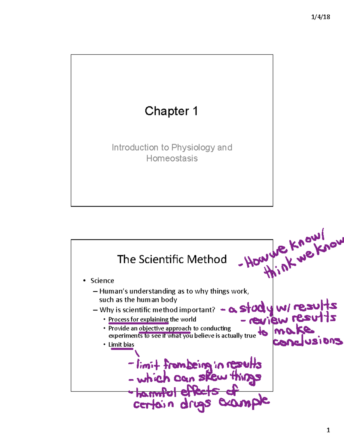 Physiology Chapter 1 Lecture Notes on Homeostasis and the Scientific ...