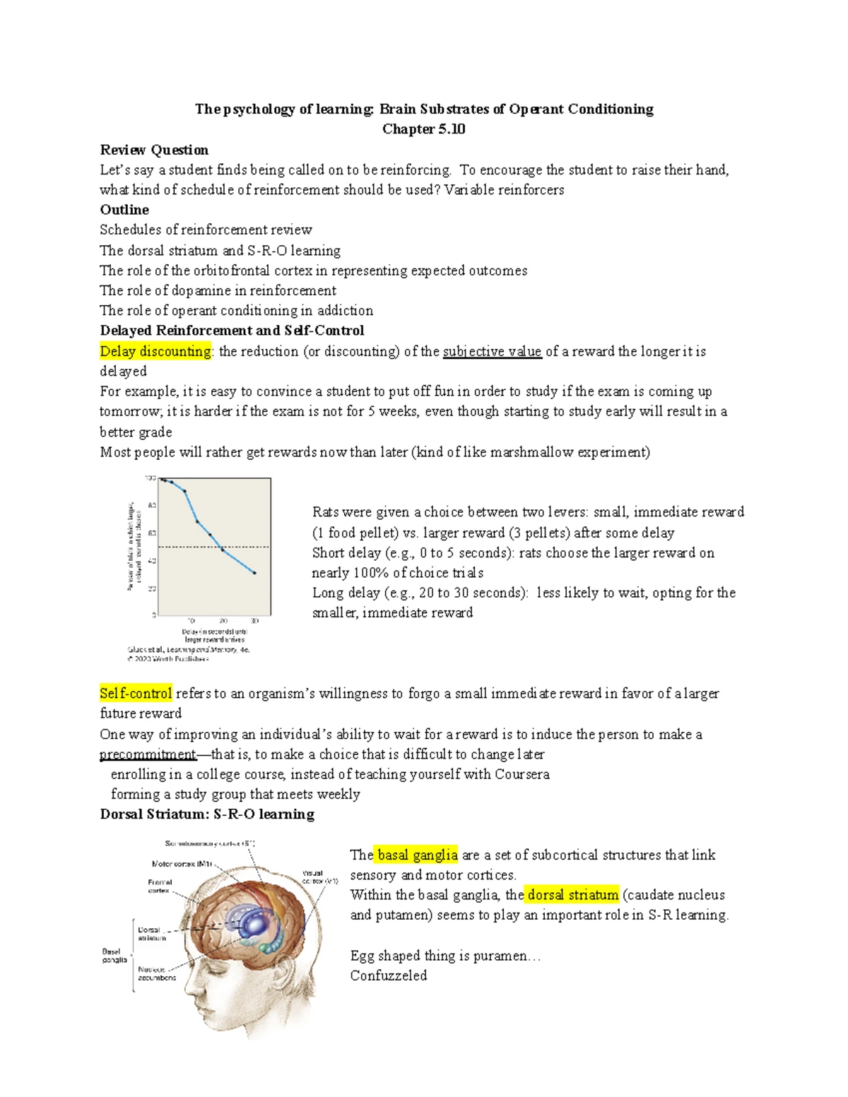 Psych 1000 - The Big Five Personality Test Overview and Insights - Studocu
