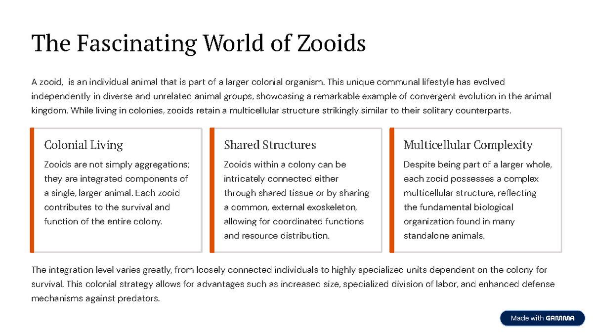 The Fascinating World of Zooids: A Study on Colonial Organisms - Studocu