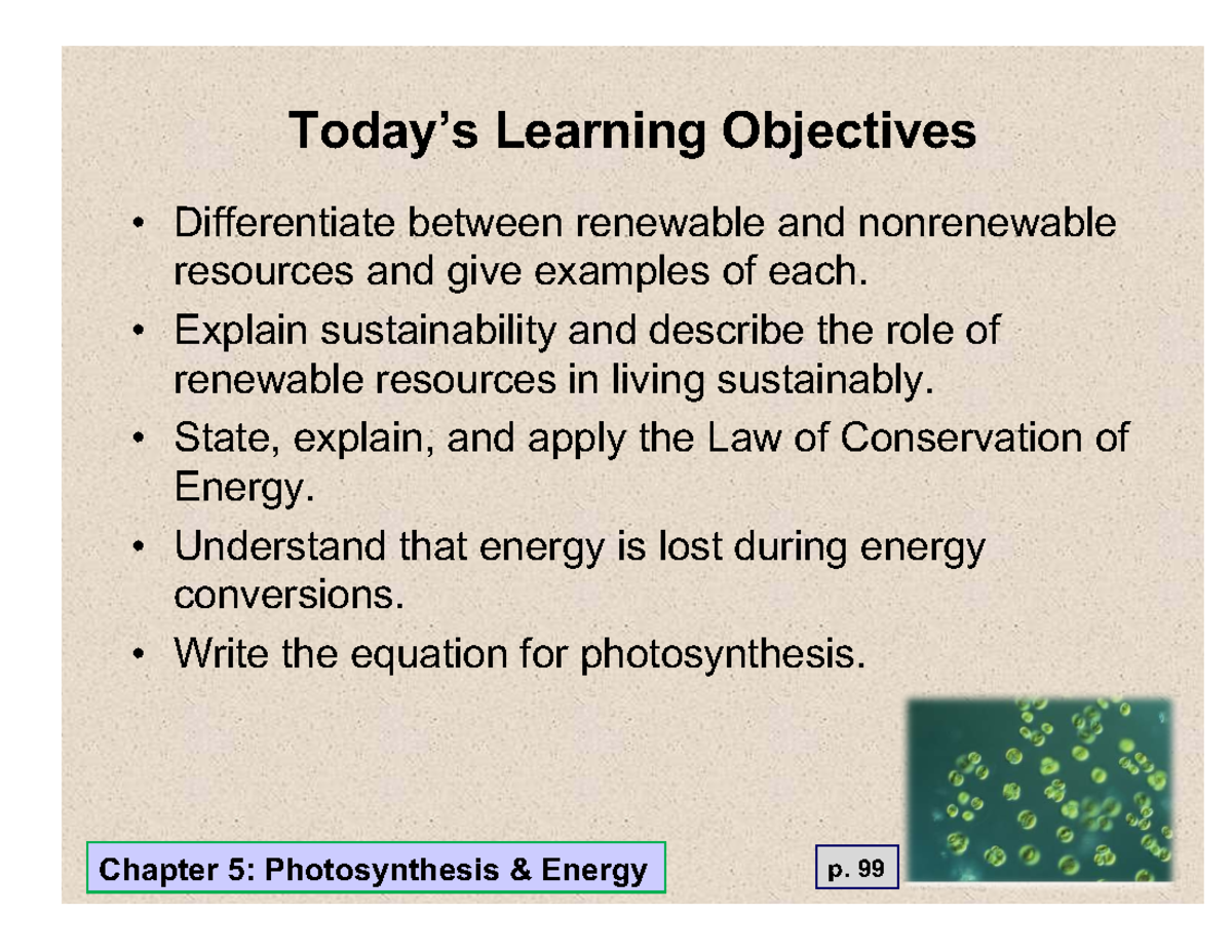 Photosynthesis: Energy Conversion and Ecological Impact - Chapter 5 ...