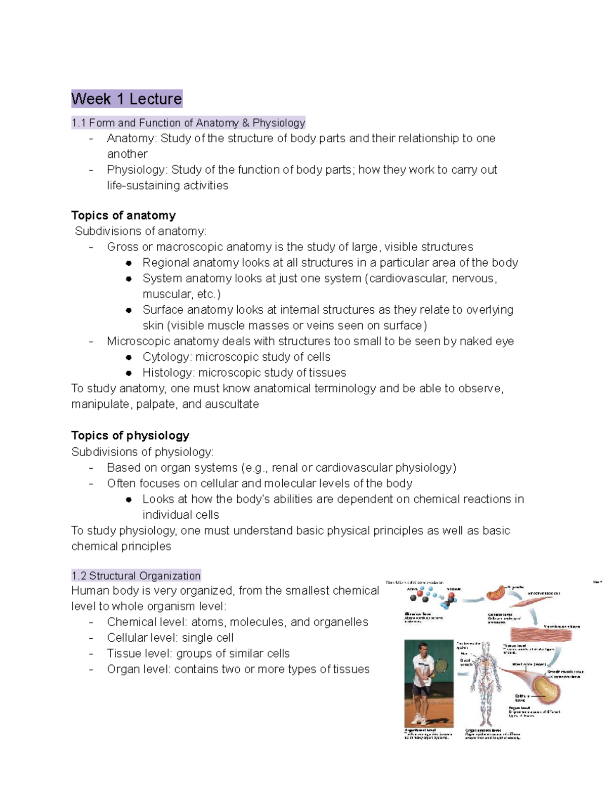 Physiological Basis of Human Movement Notes - ANAT 101 Lecture 1.1 ...