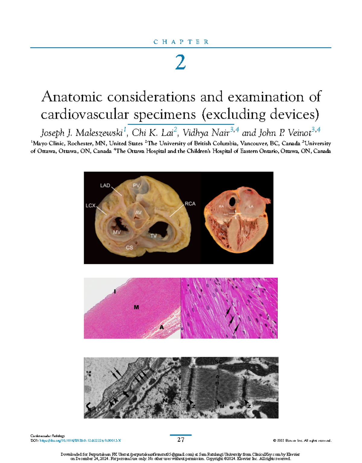 Cardiology 101: Detailed Overview of Cardiac Anatomy & Specimens - Studocu