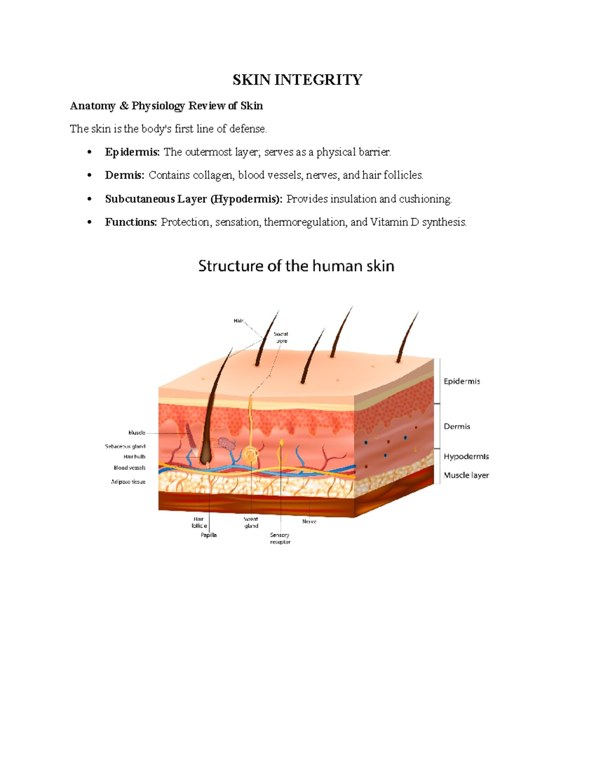 Funda-ANP: Skin Integrity & Pressure Injury Management - Studocu