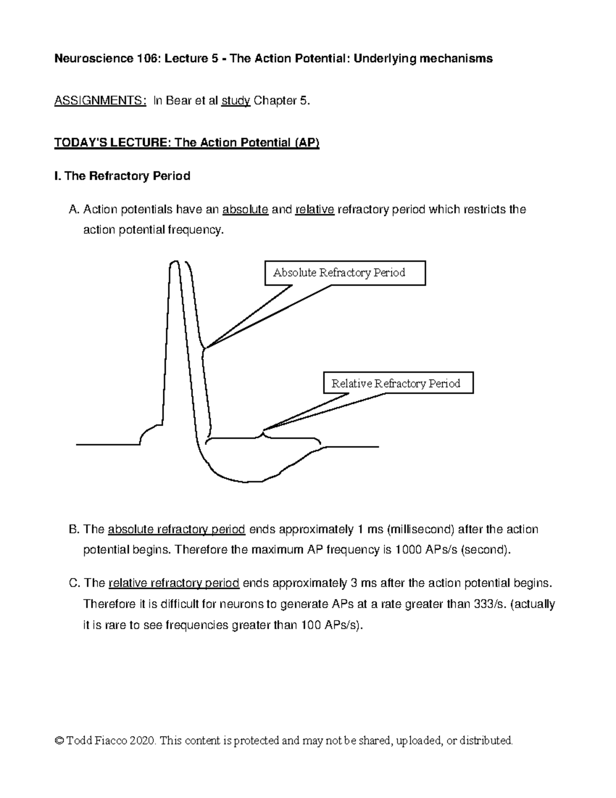Neuroscience 106: Lecture 5 - Mechanisms of Action Potential ...