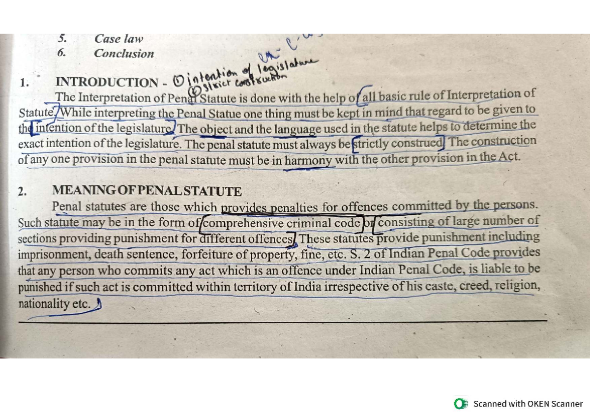 Interpretation of Penal Statutes: Key Principles and Case Law - Studocu