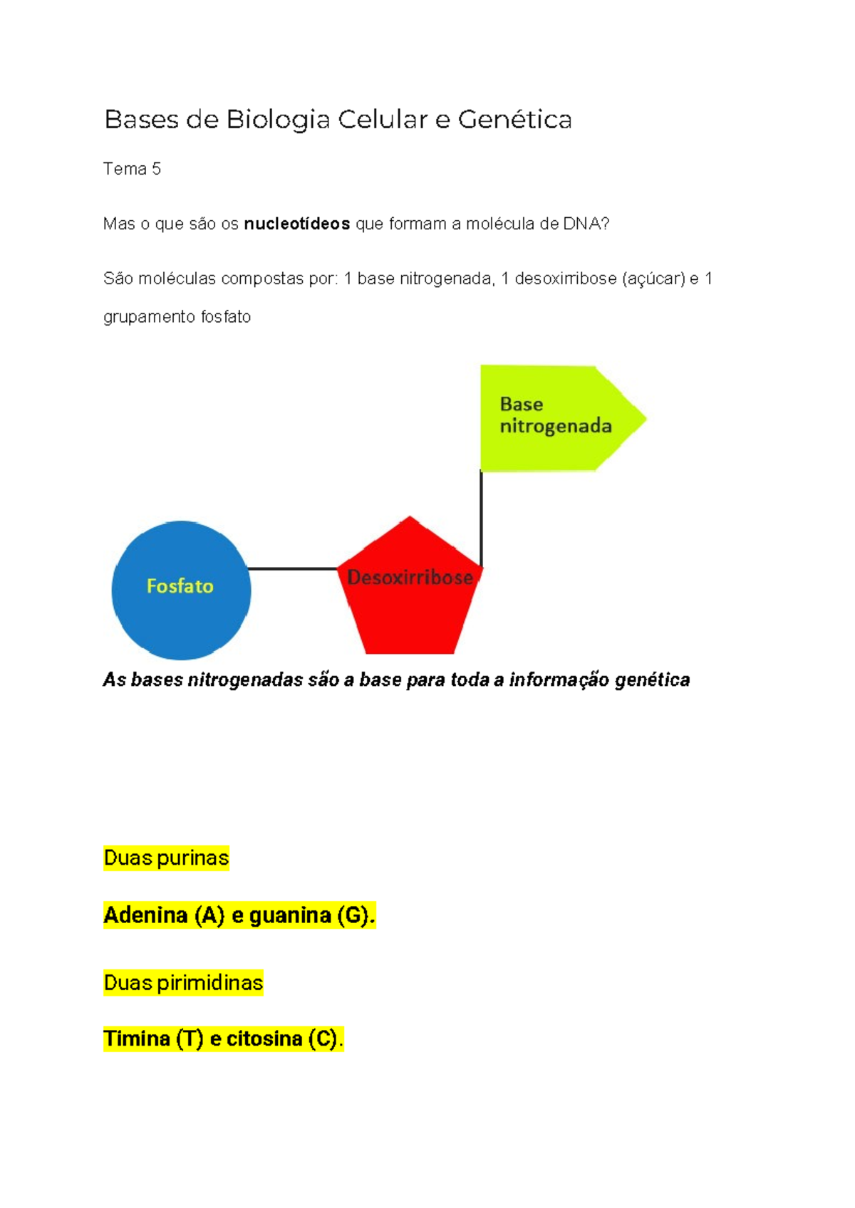 Bases de Biologia Celular e Genética - Bases de Biologia Celular e ...