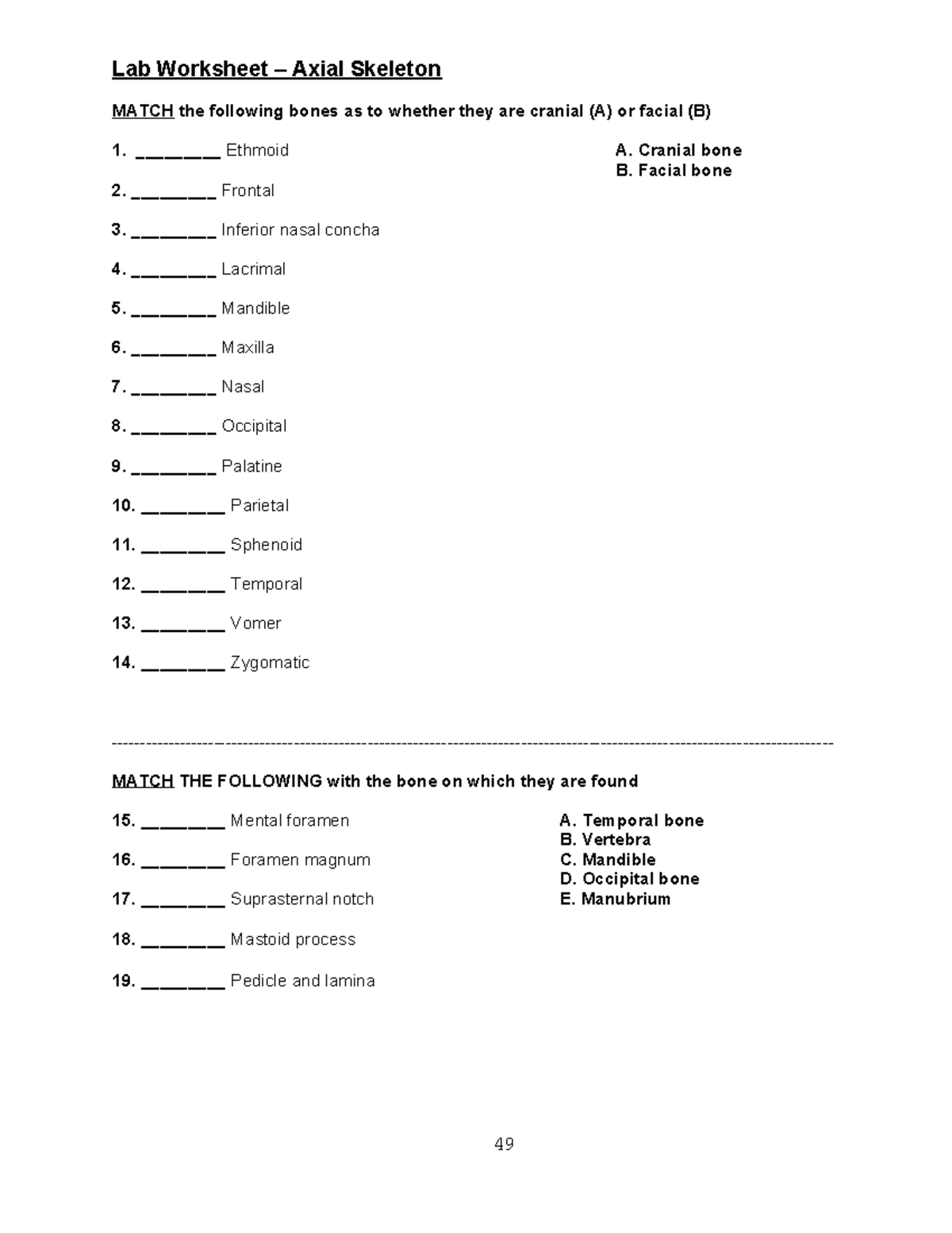 Worksheet - Lab on Axial Skeleton - Studocu