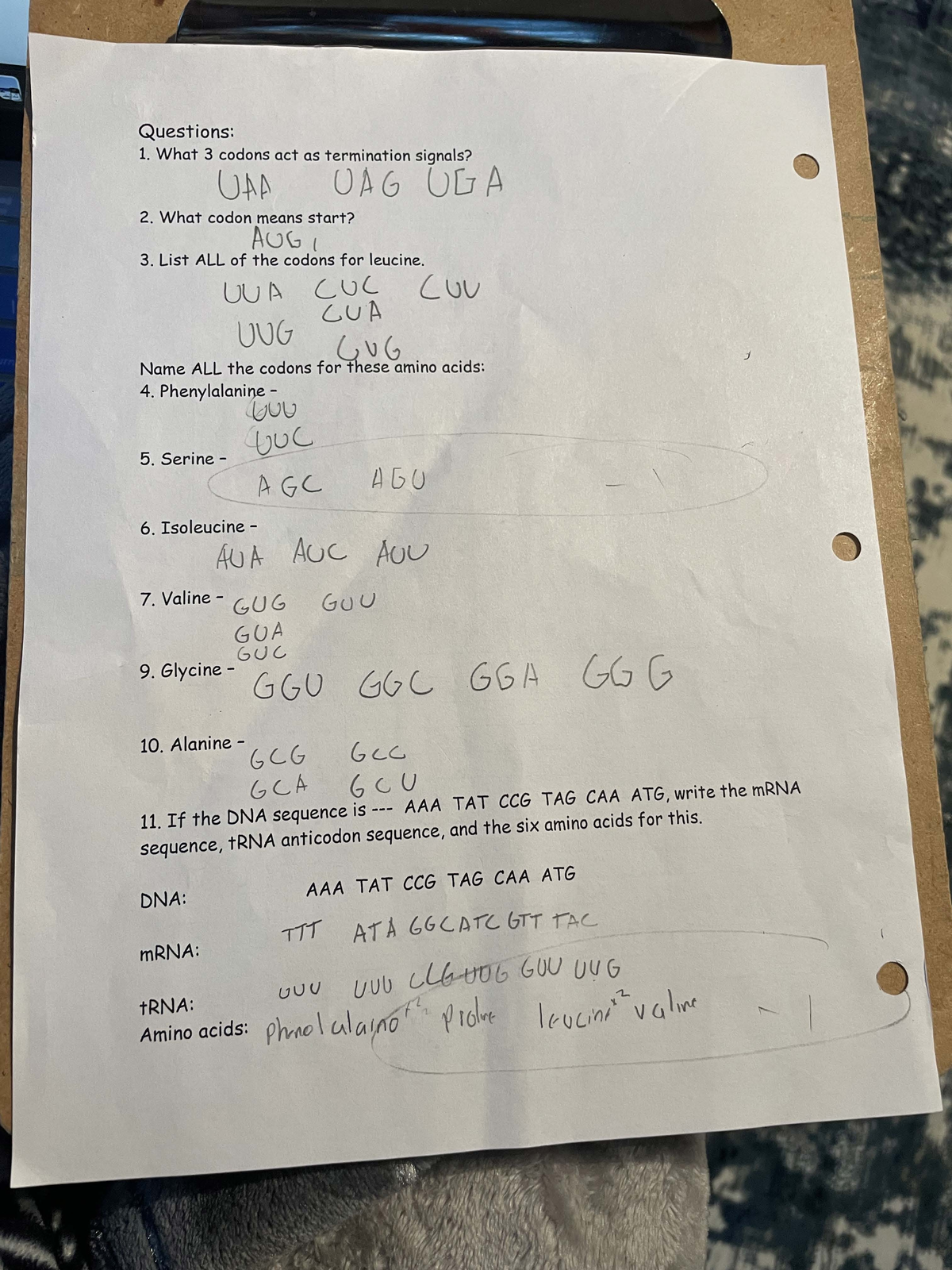 IMG 3133 - Guide to Using the Codon Worksheet Effectively - Studocu