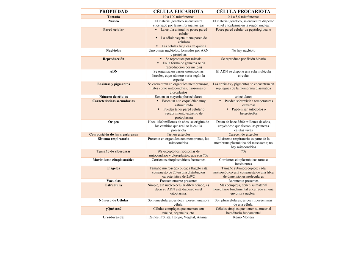 Cuadro Comparativo: Célula Eucariota vs Procariota (Biología) - Studocu