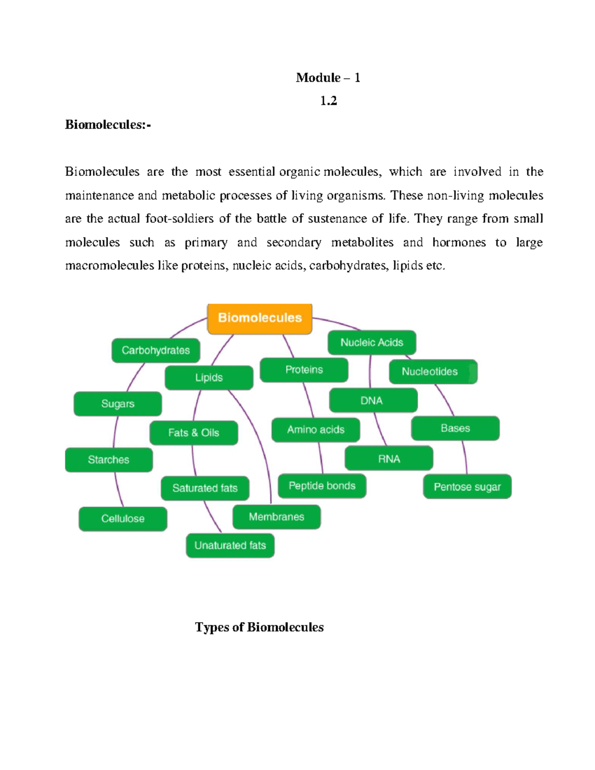 Module 1 - Essential Biomolecules: Structure, Function, and Types - Studocu