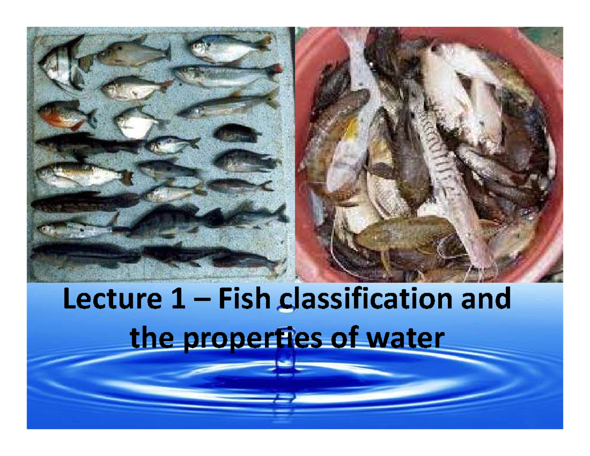 Anatomy Lecture 1: Fish Classification & Water Properties - Studocu