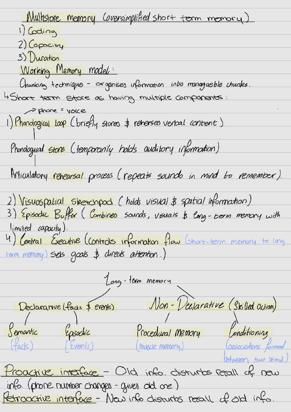 Psychology - Types of Memory: Short & Long Term Analysis - Studocu