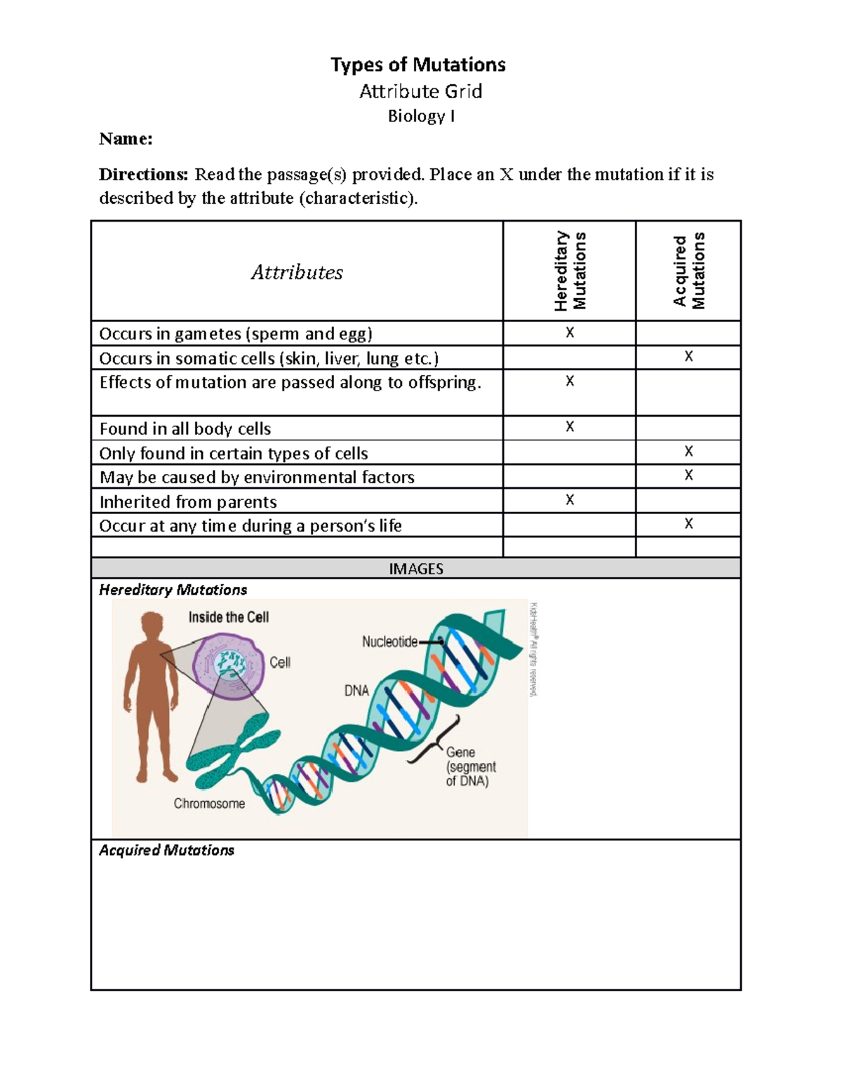 Types of Mutations Attribute Grid-2 - Types of Mutations Attribute Grid ...