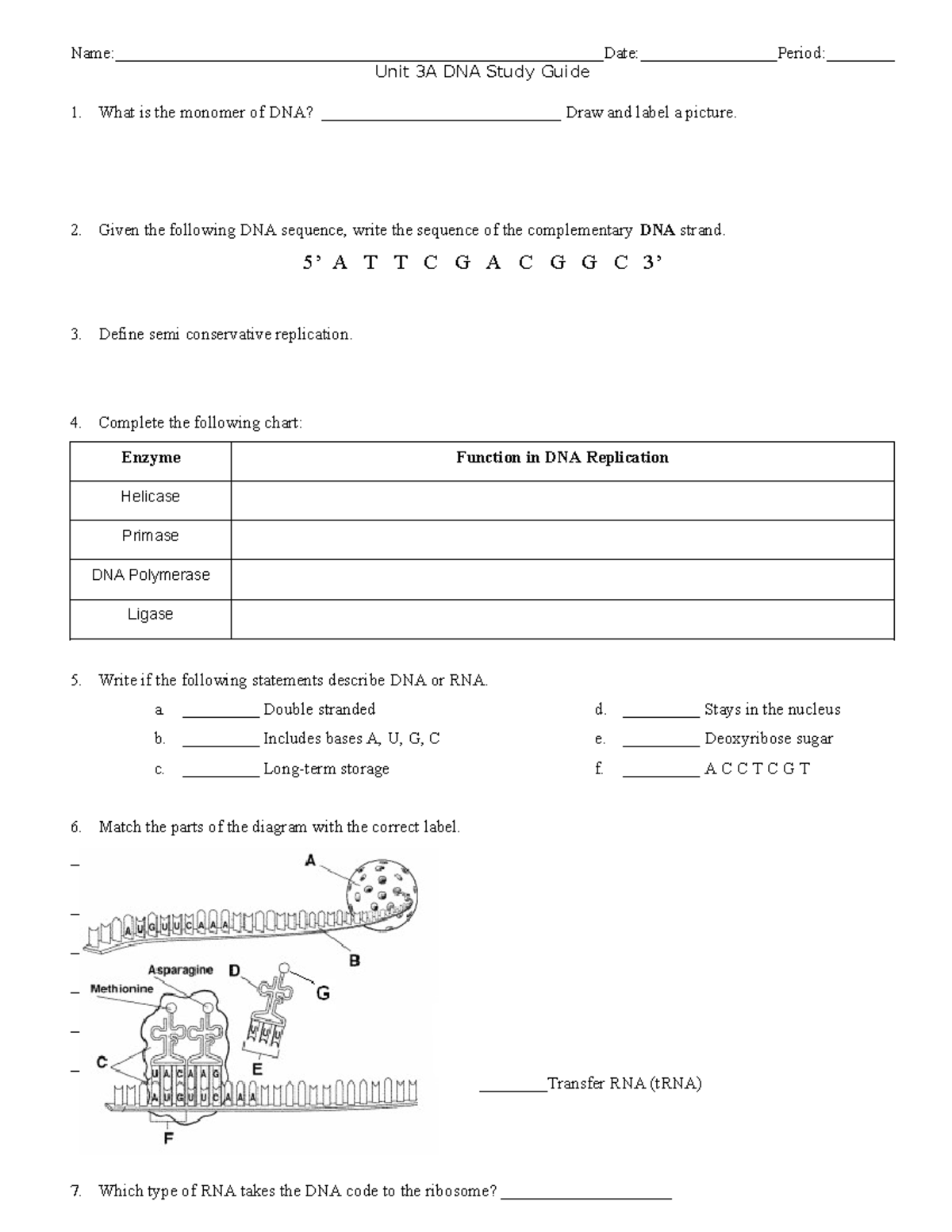 Unit 3A DNA Study Guide: Structure, Replication & Mutations - Studocu