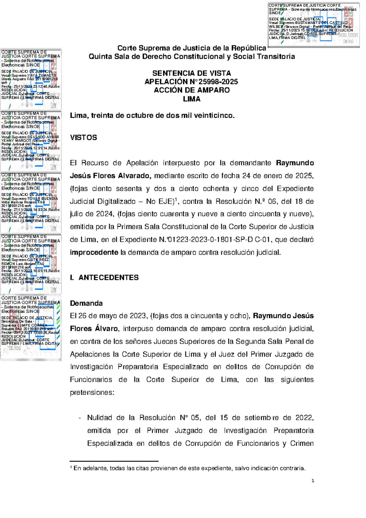Sentencia de Vista: Apelación Acción de Amparo - CORTE SUPREMA 2025 ...