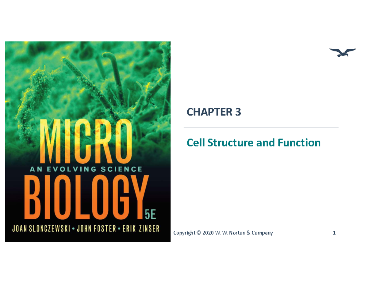 Bacterial Cell Structure and Function Overview (BIOL 101) - Studocu