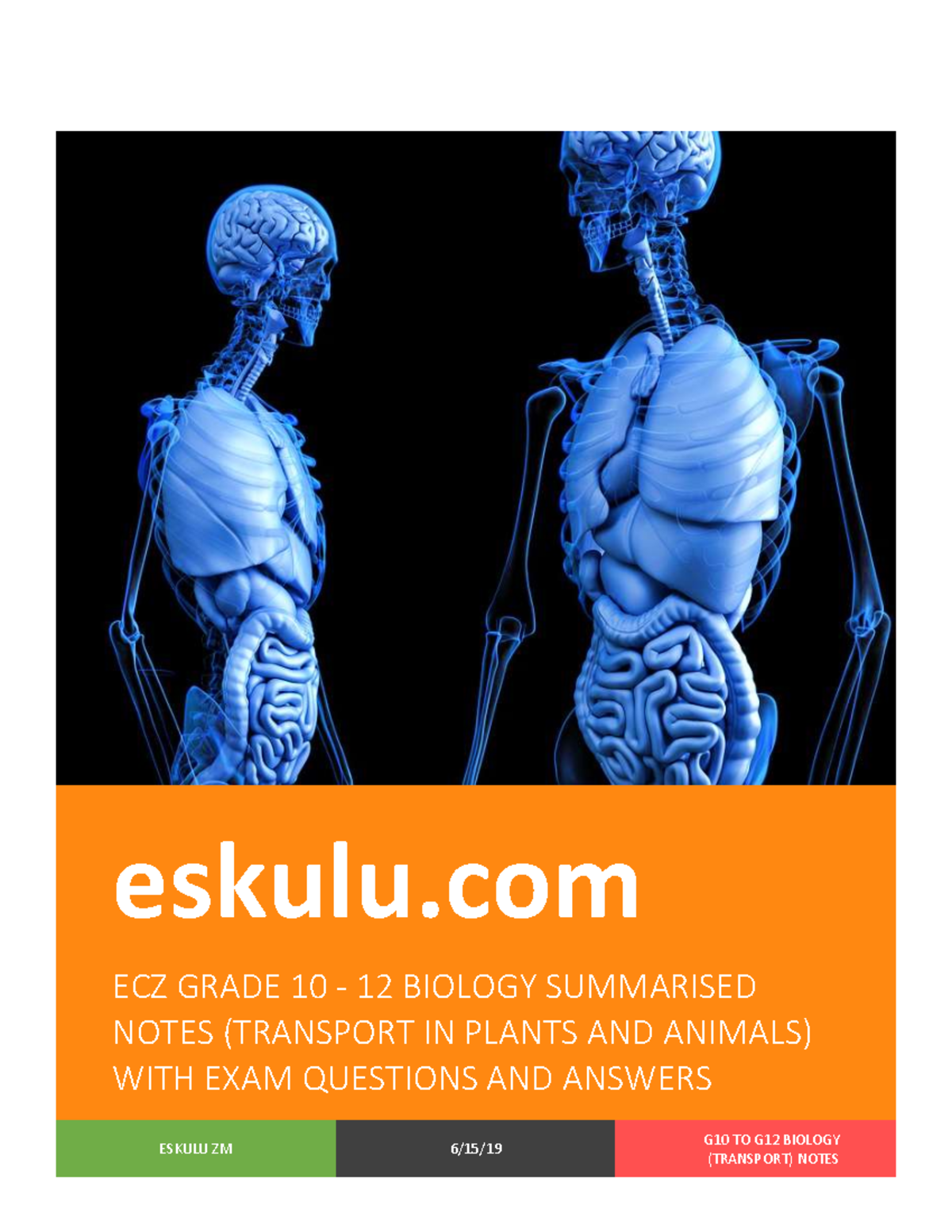 G10-G12 Biology Revision: Transport in Plants & Animals Notes - Studocu