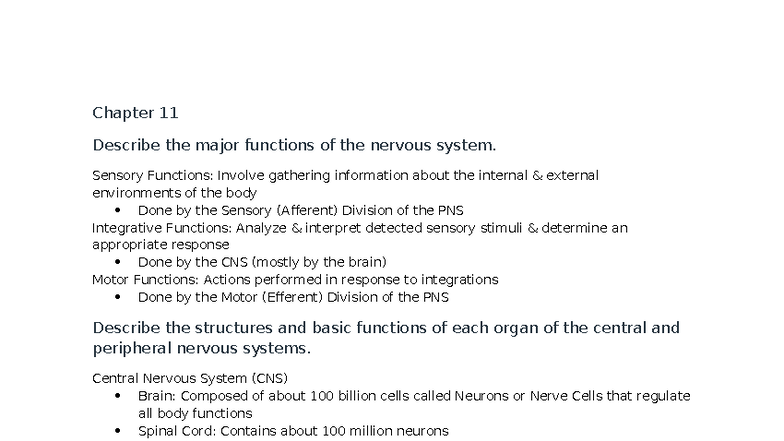 Nervous System Functions & Structures: A Comprehensive Overview (BIO ...