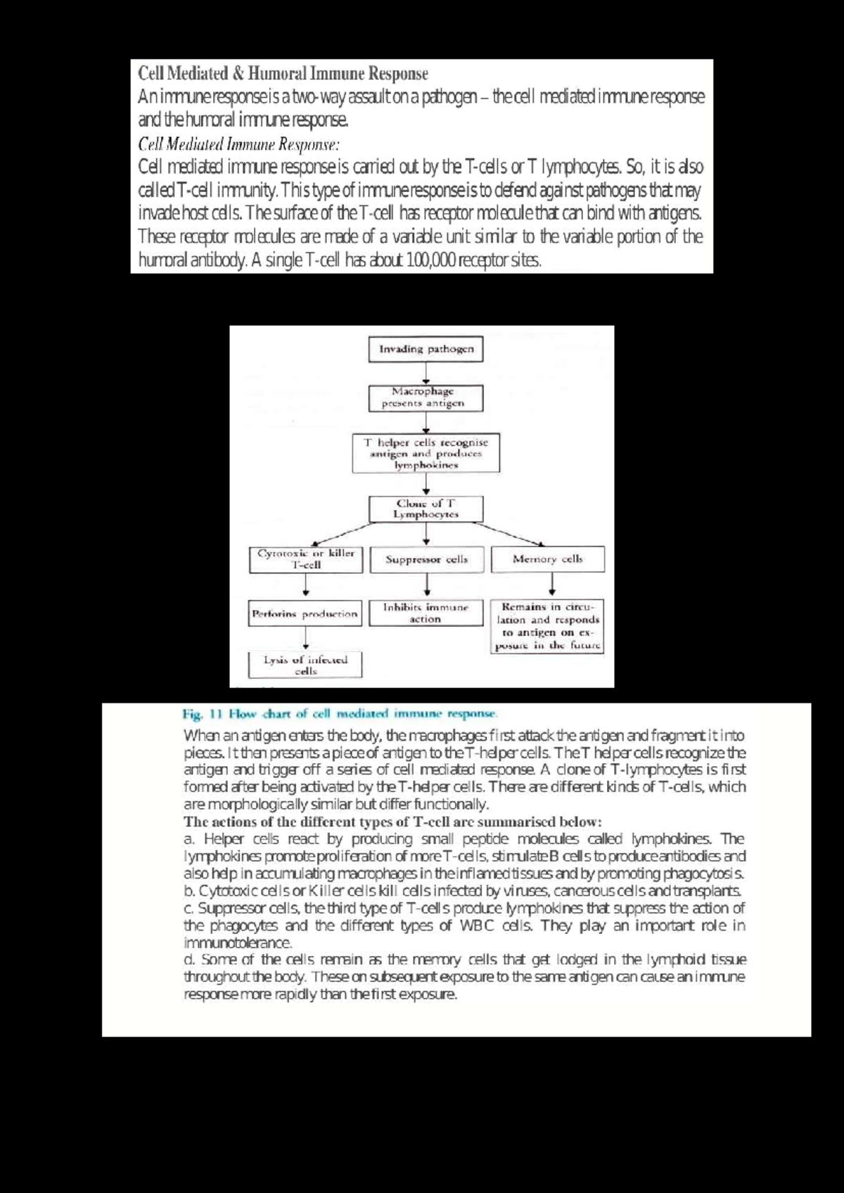 CMI & HI - Cell Mediated and Humoral Immune Response Overview - Studocu
