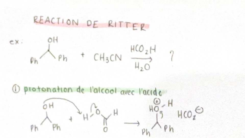 Réaction de Ritter : Mécanismes et Formation de Produits Finaux - Studocu