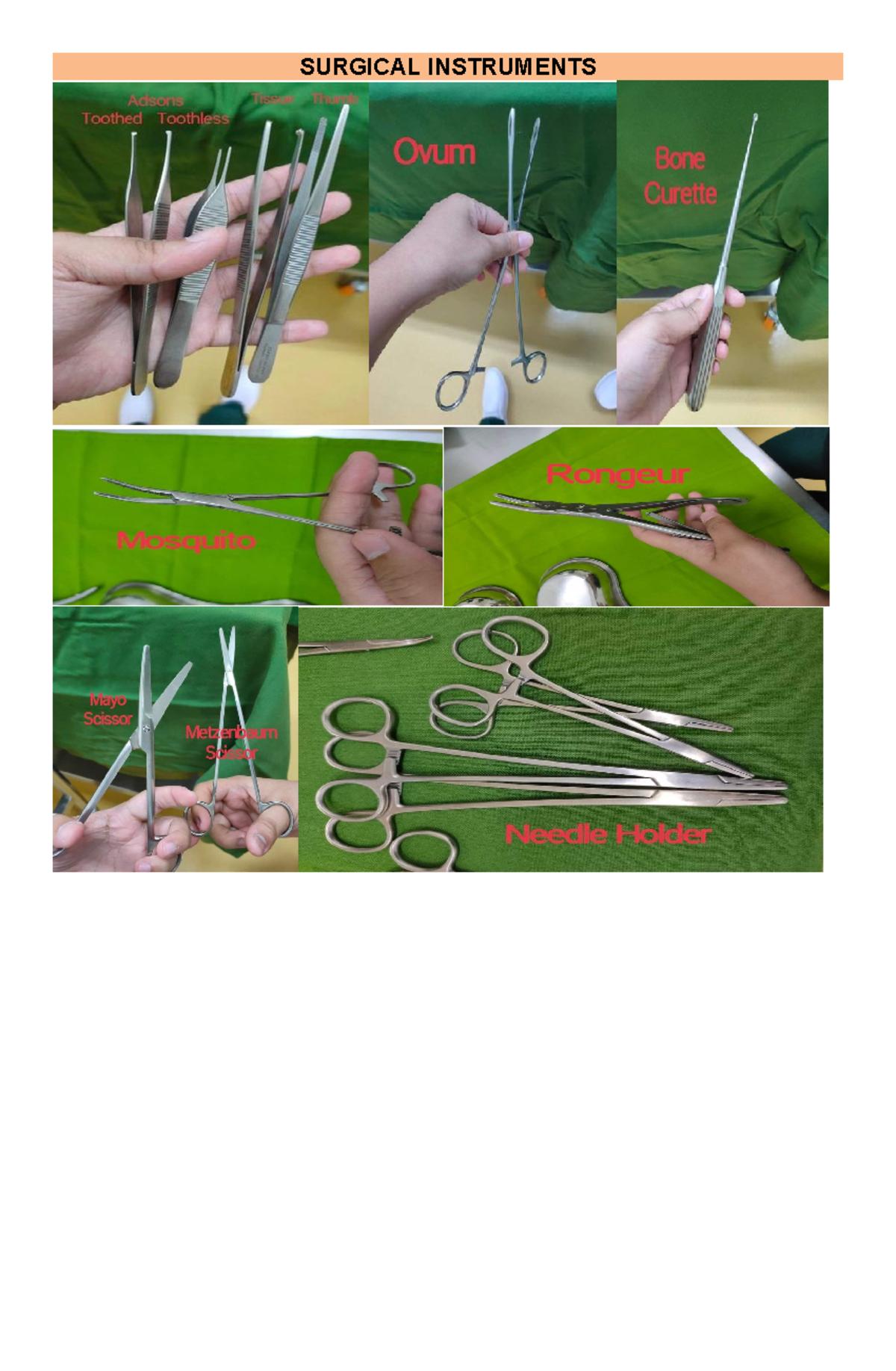 Surgical Instruments Overview for ANAT 101: Tools and Techniques - Studocu