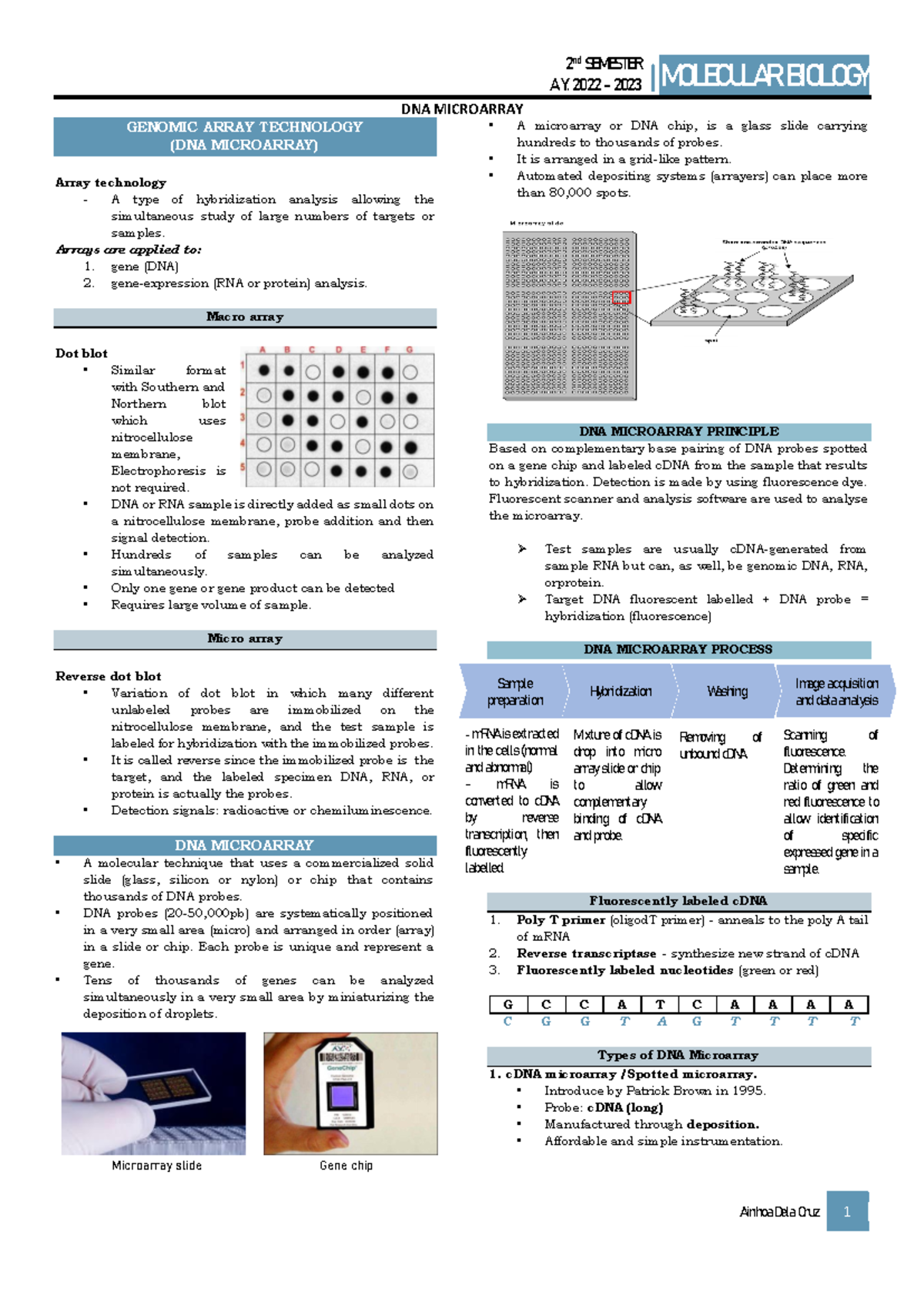 DNA Microarray - Molecular Biology Lecture Notes (2nd Sem, 2022-2023 ...