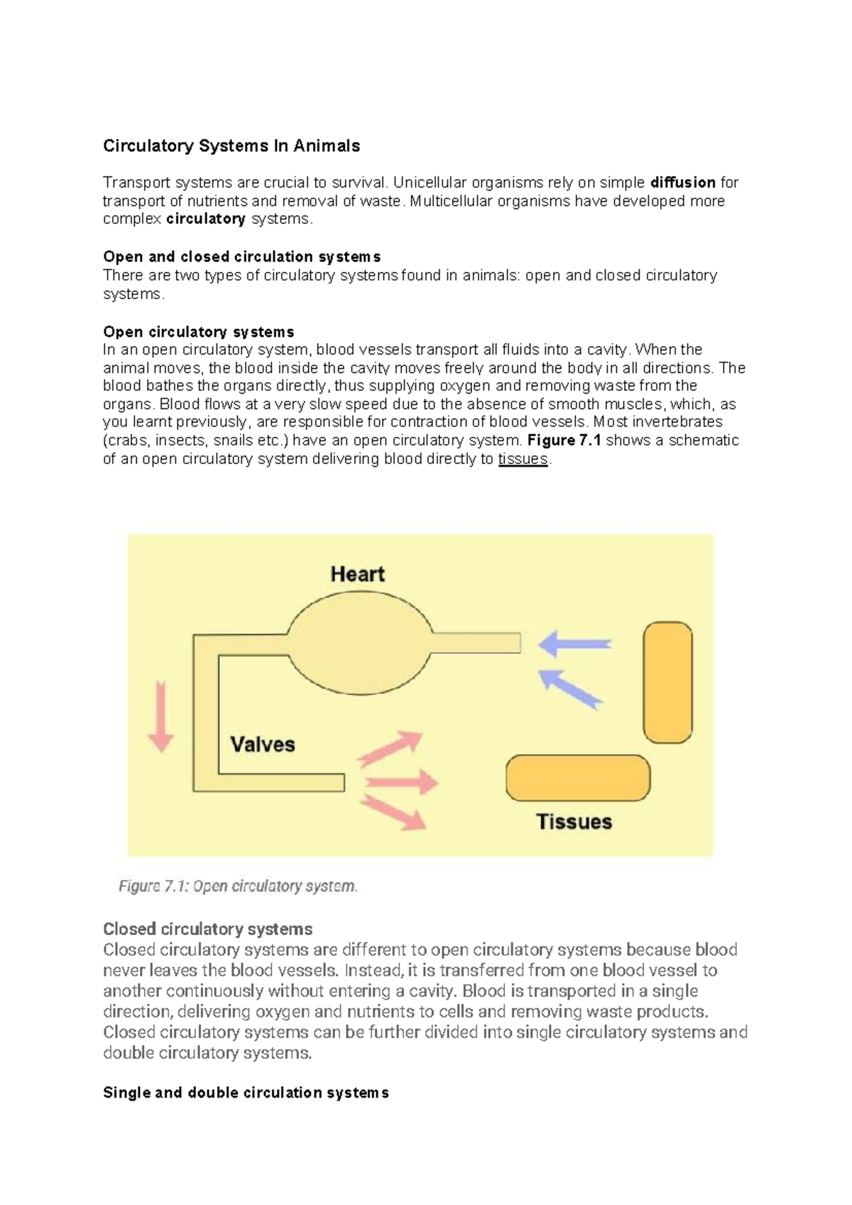 Circulatory Systems in Animals: Open vs Closed Systems (Bio 101) - Studocu
