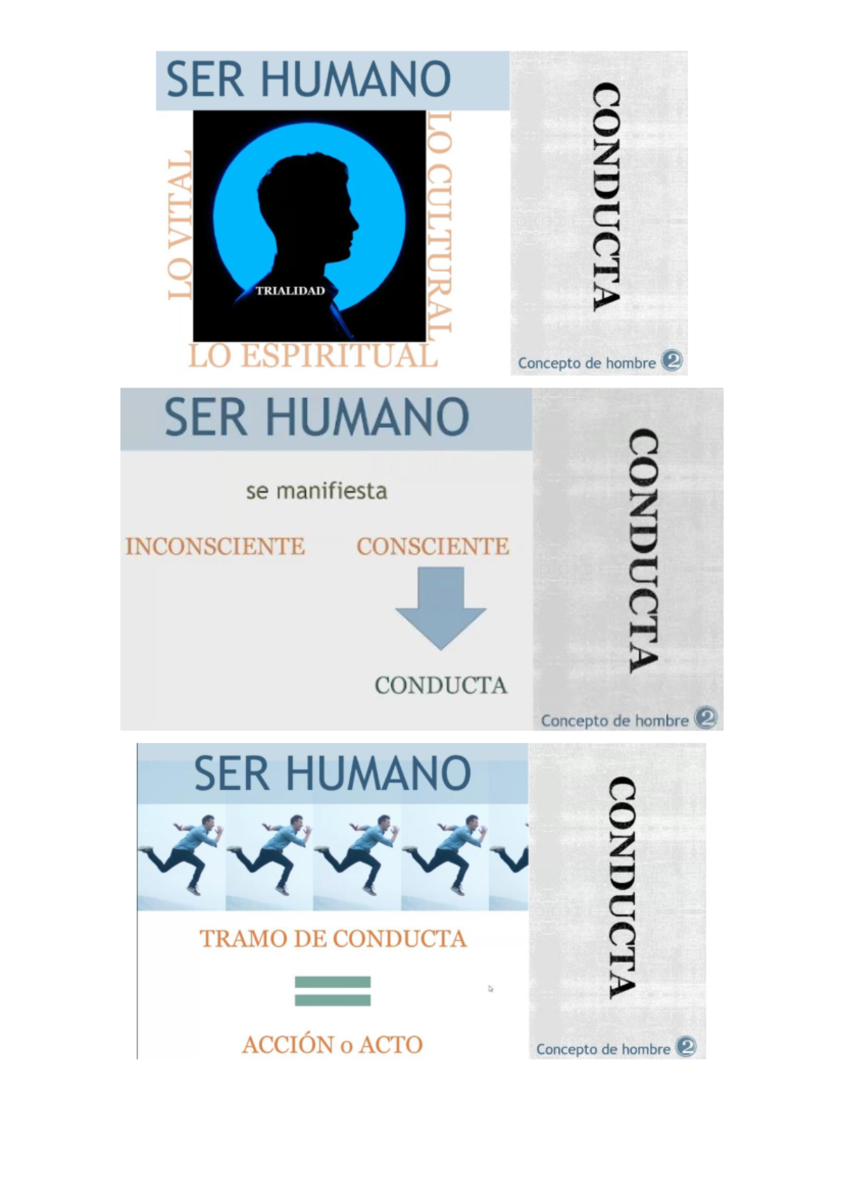 M1 Fundamentos del dere cho - SER HUMANO COMMUNT. TRIALIDAD LO ...