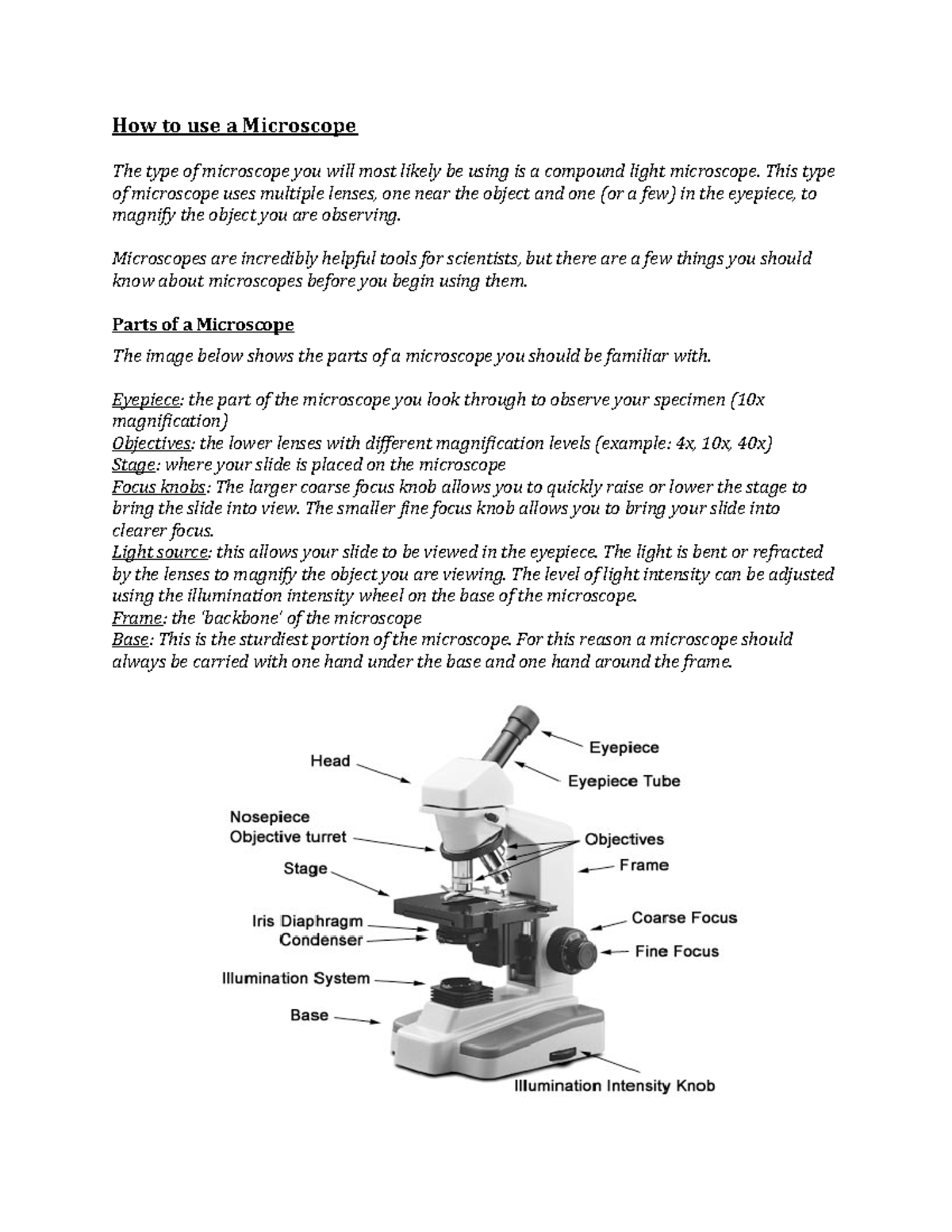 Microscope-Handout-ek - How to use a Microscope The type of microscope ...