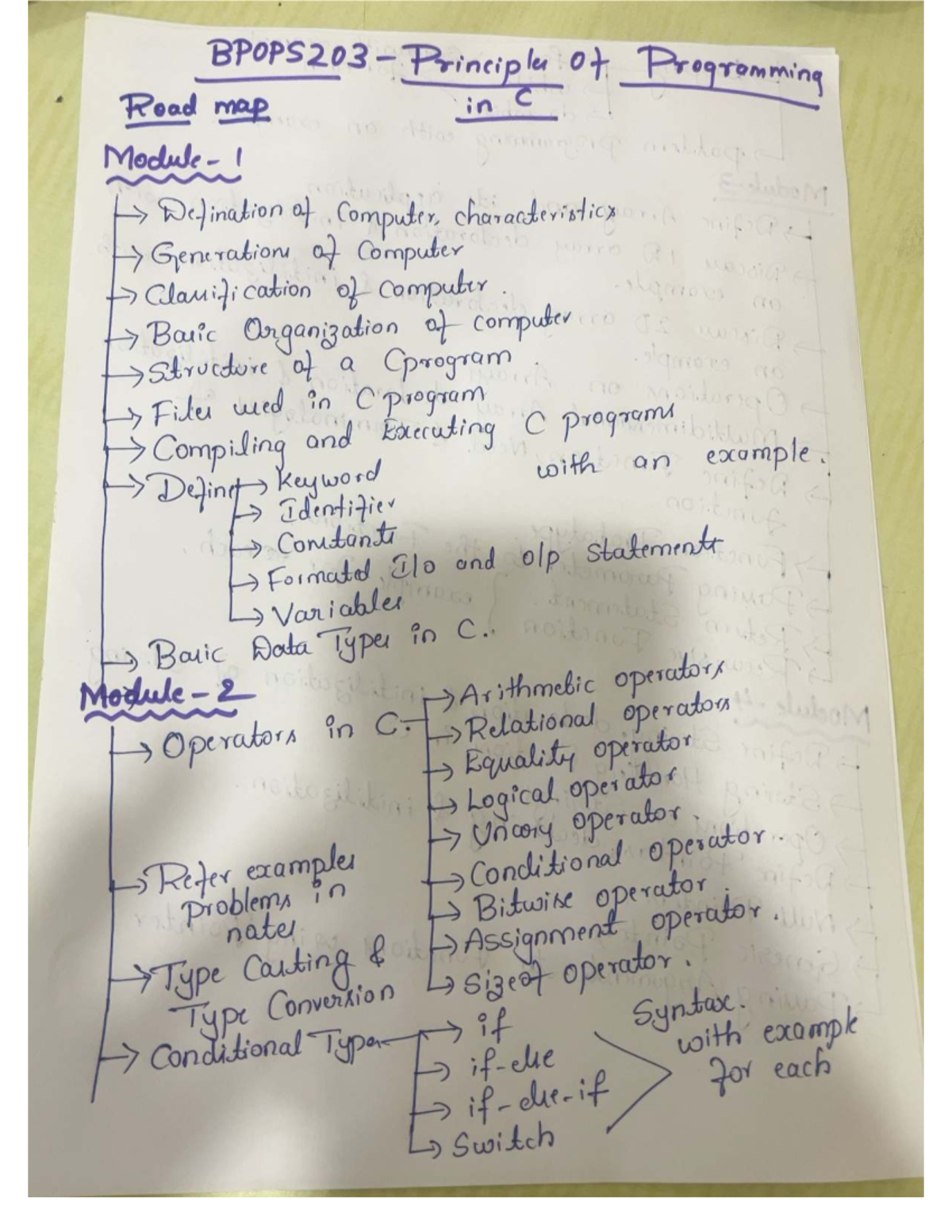 BPOPS203 - C Programming Principles: Module 1 Overview and Key Concepts ...